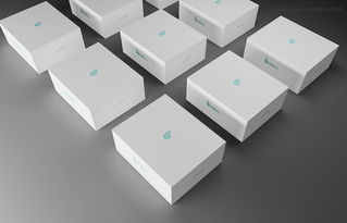 主振品牌产品包装设计案例分析