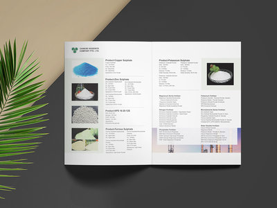 杜勇设计师 以专业画册设计赋能化工品牌，打造深圳工厂的视觉名片